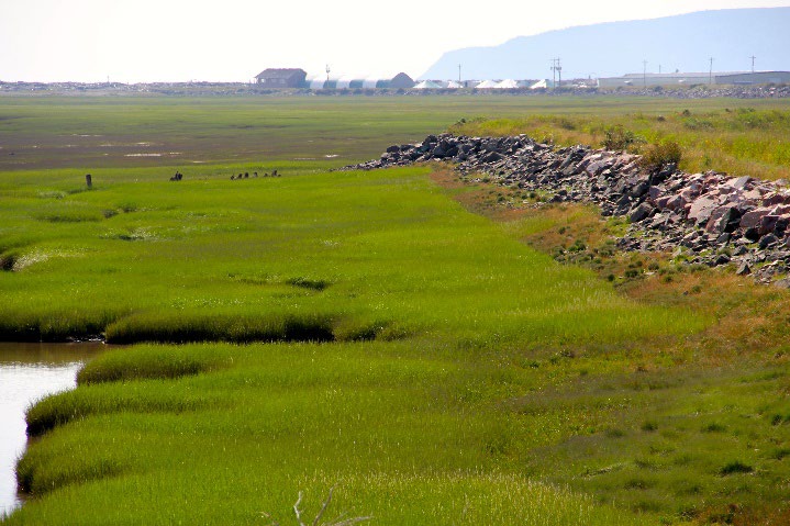 Cape d'Or salmon Canada